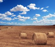 Ako veľký je problém Spoločnej poľnohospodárskej politiky?